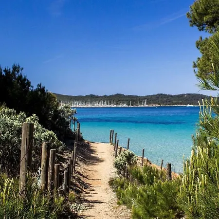La Ratopenado - Provencale - Piscine Carqueiranne