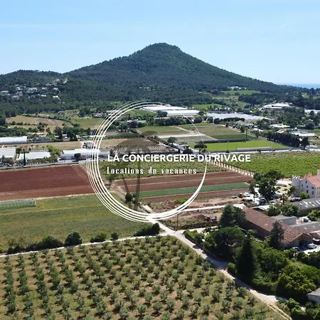 La Ratopenado - Provencale - Piscine * Carqueiranne