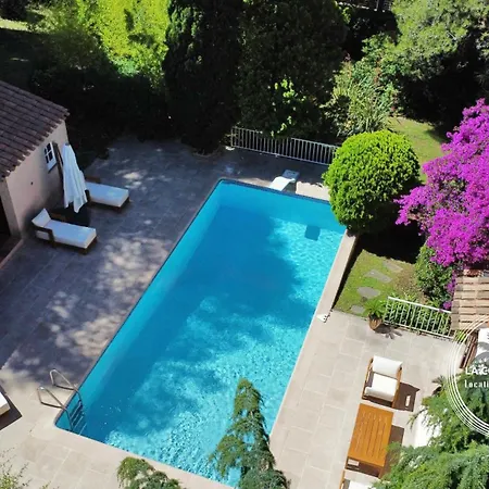 La Ratopenado - Provencale - Piscine